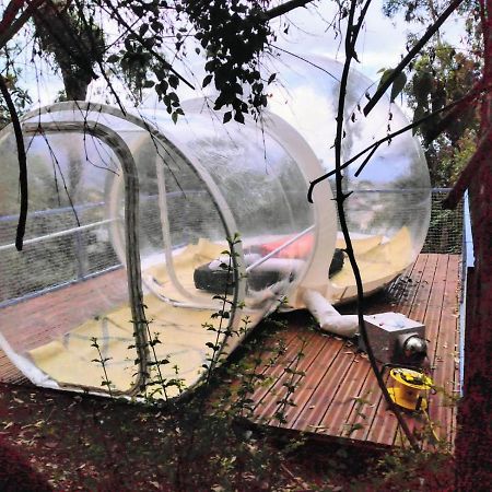 Dans Ma Bulle By C Cibeaulaos Hotel Cilaos Exterior photo