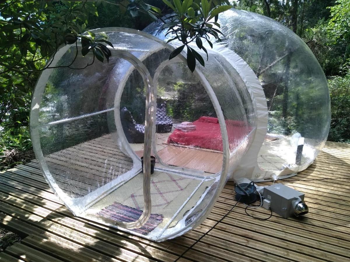 Dans Ma Bulle By C Cibeaulaos Hotel Cilaos Exterior photo