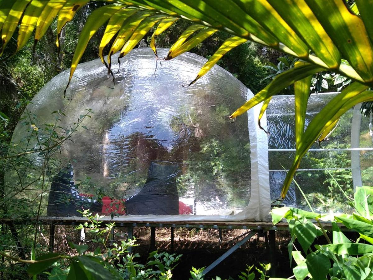 Dans Ma Bulle By C Cibeaulaos Hotel Cilaos Exterior photo
